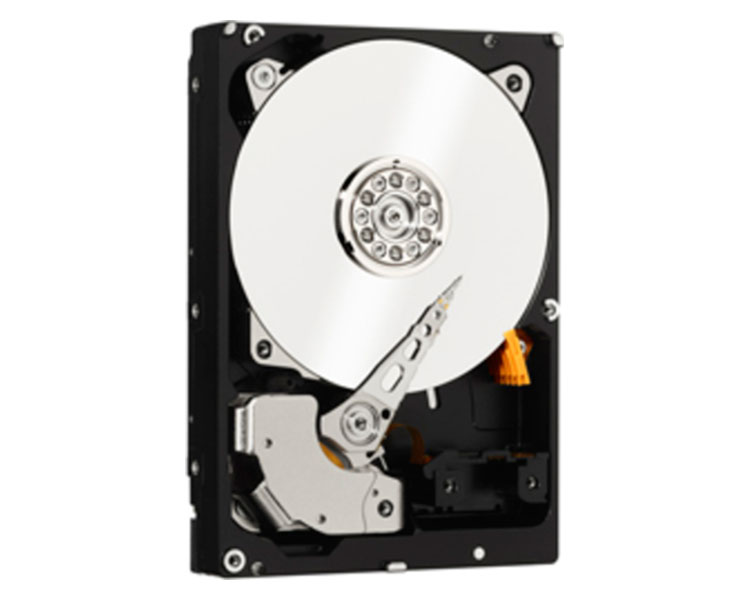 Disque Dur Interne Western Digital 2 To – 3.5'' SATA II – Modèle WD2003FYYS